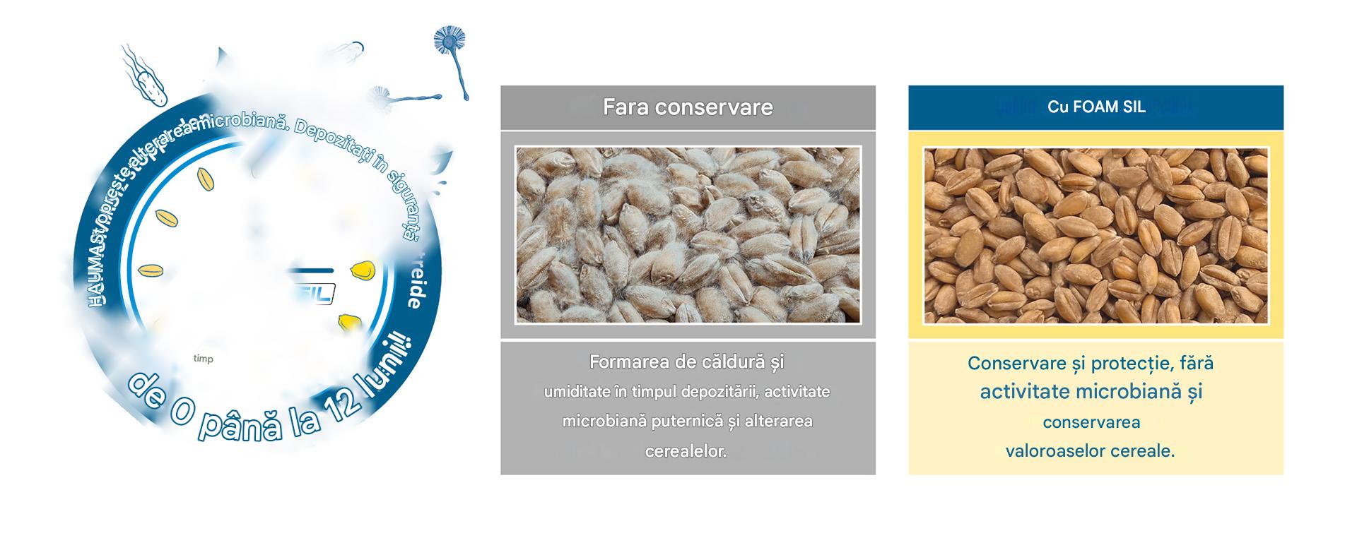 SCHAUMASIL oprește deteriorarea microbiană
