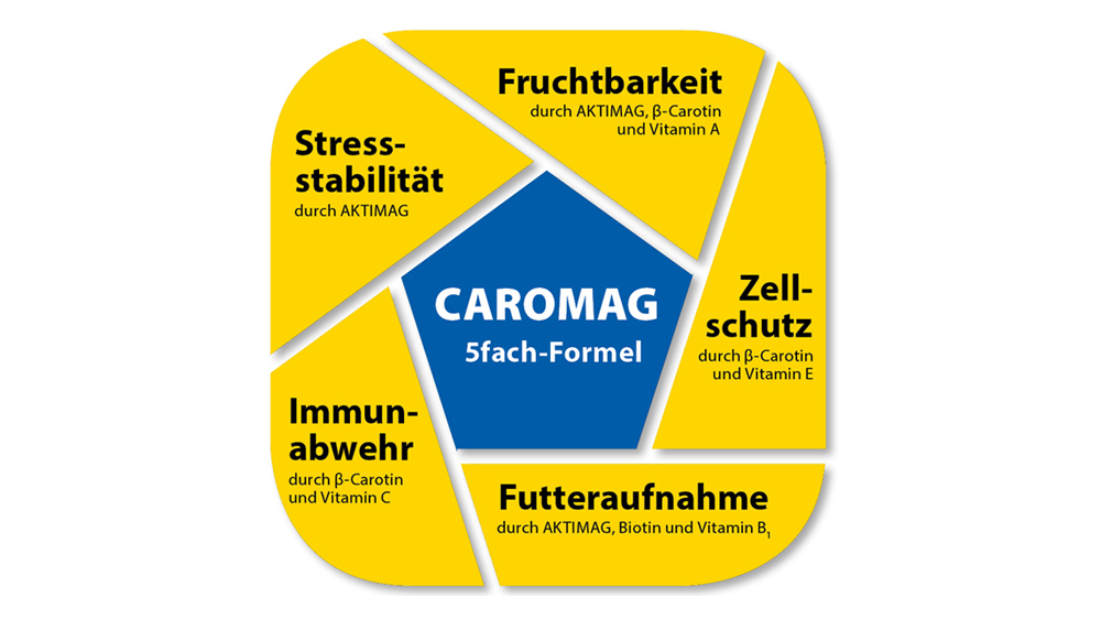 CAROMAG pentru vacile de lapte CAROMAG pentru vacile de lapte