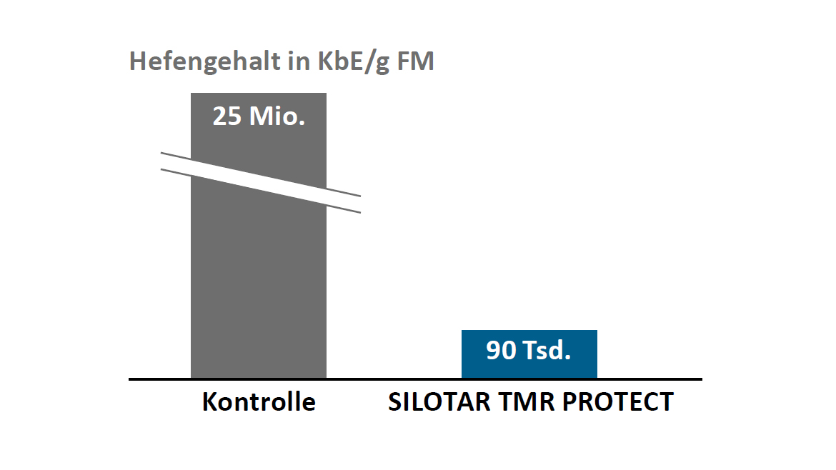 SILOSTAR TMR PROTECT reduce infestarea cu drojdie a furajelor