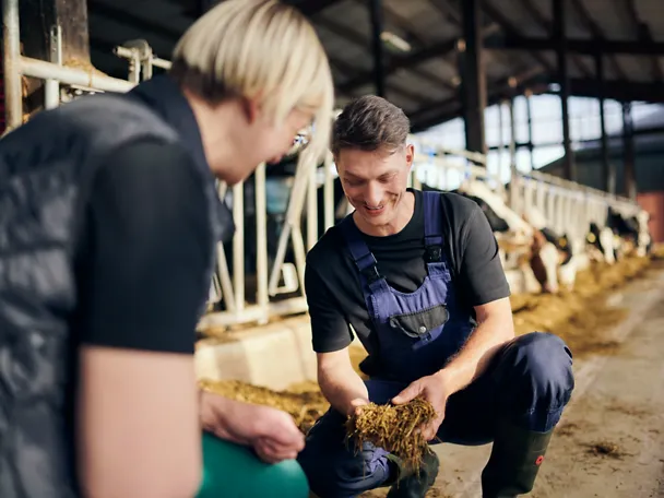 Consiliere Masă de hrănire a vitelor