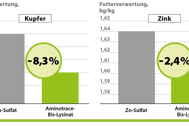 AMINOTRACE bei Geflügel