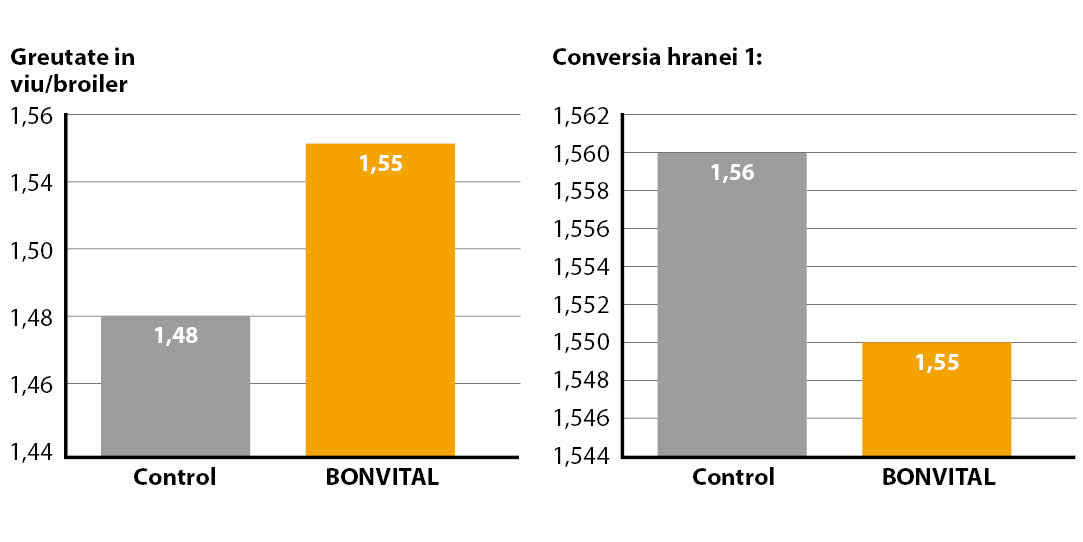 BONVITAL BONVITAL