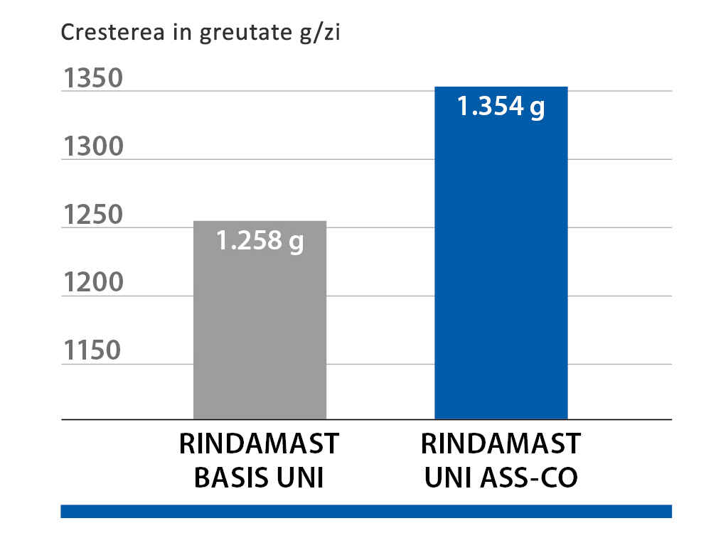 Castiguri in greutate medii zilnice, intr-un studiu cu 450 de tauri
