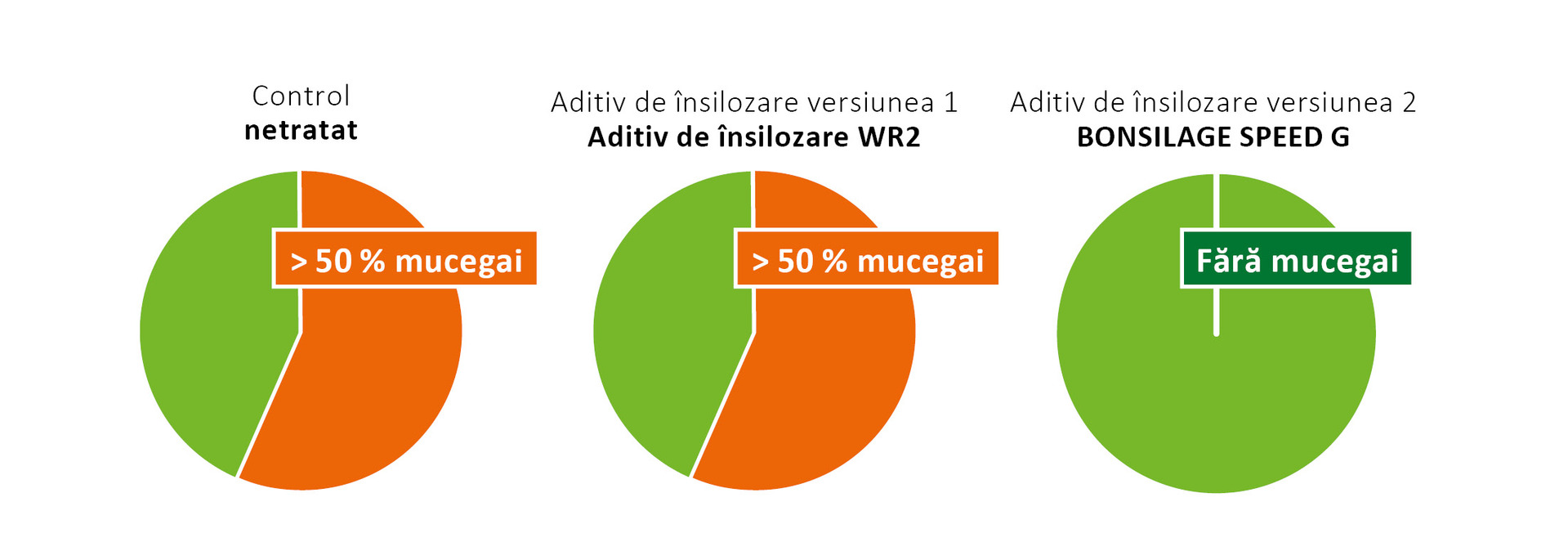 Efectul BONSILAGE SPEED G