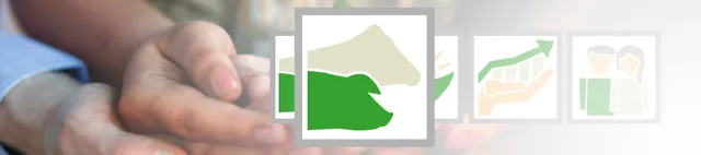 de_fot_54706135_haende_nachhaltigkeit_icons_tierwohl_3000x710px