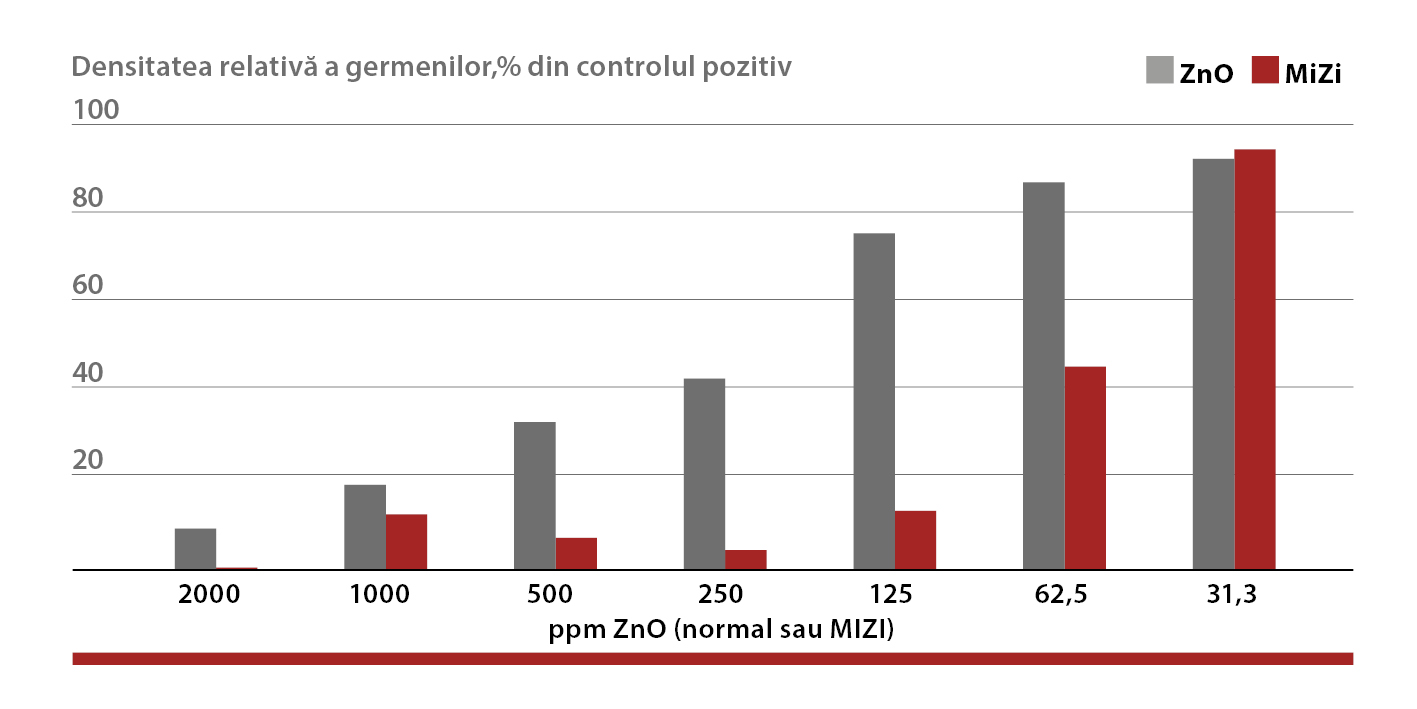 Efectul dozei diferite de oxid de zinc (convențional sau MIZI) la densitatea relativă a germenilor E.Coli după o incubare de 24 de ore