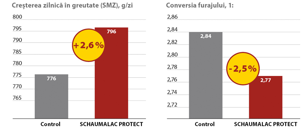 SCHAUMALAC PROTECT îmbunătățește creșterile zilnice și utilizarea hranei pentru animale